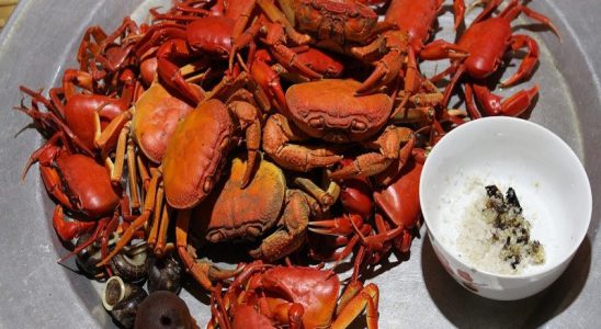 Du lịch Đà Nẵng thưởng thức đặc sản nổi tiếng Cù Lao Chàm - ảnh 1