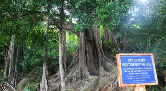 Top 5 điểm “tự sướng” cực chất khi du lịch hè Đà Nẵng - ảnh 1