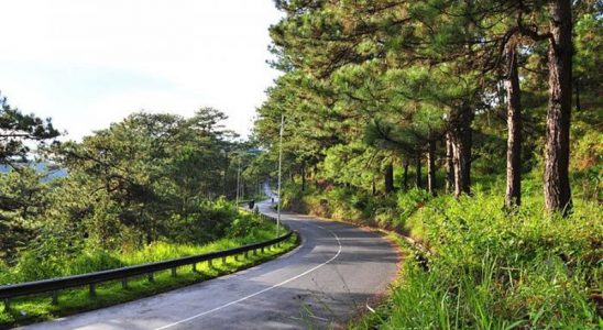 Những con đèo siêu đẹp ở Đà Lạt - ảnh 1