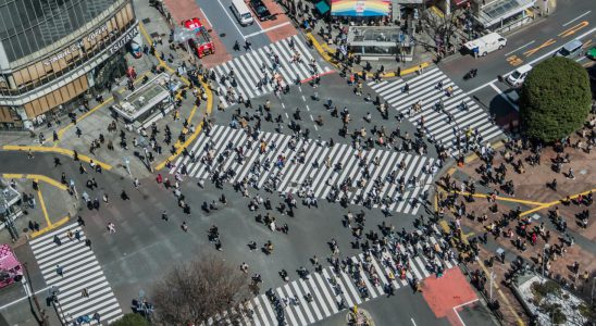 Trải nghiệm nhịp sống hối hả tại giao lộ Shibuya Nhật Bản - ảnh 1