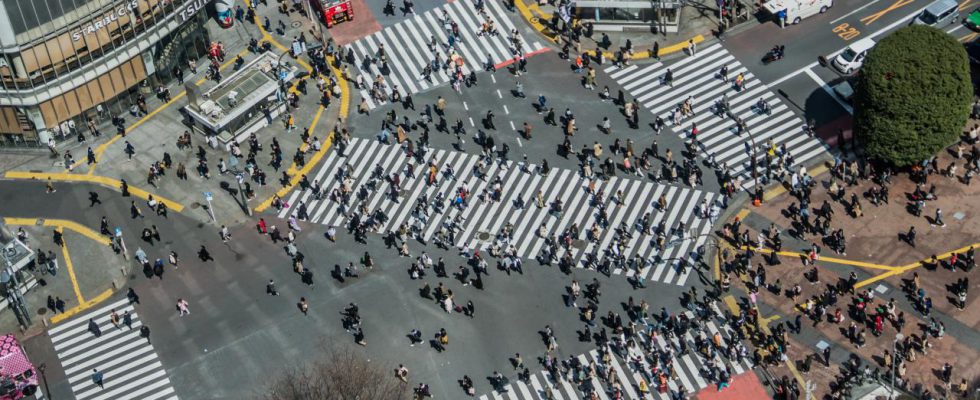 Trải nghiệm nhịp sống hối hả tại giao lộ Shibuya Nhật Bản - ảnh 1