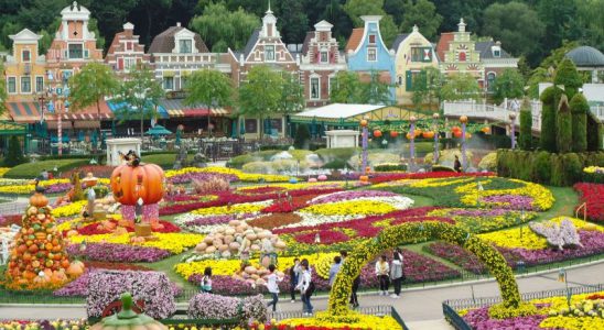 Vui chơi, khám phá tại Công viên giải trí Everland