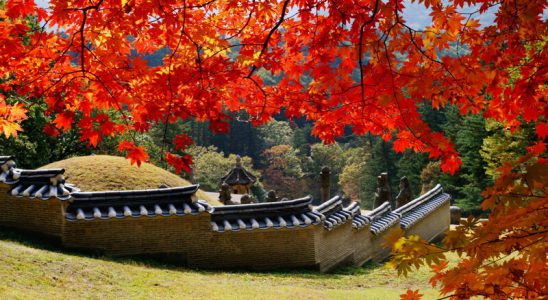 Mùa lá đỏ Hàn Quốc