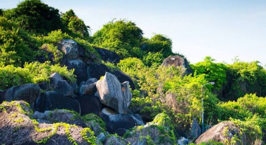 du lịch Tức Dụp