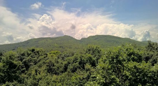 Về Núi Dinh Vũng Tàu