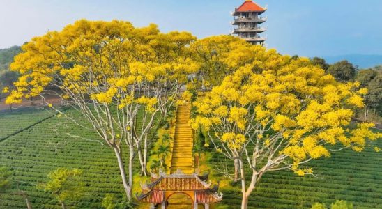 Tu viện Bát Nhã tọa lạc trên một ngọn đồi