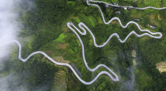 Con đường hạnh phúc