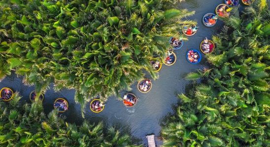 Rừng dừa 7 Mẫu